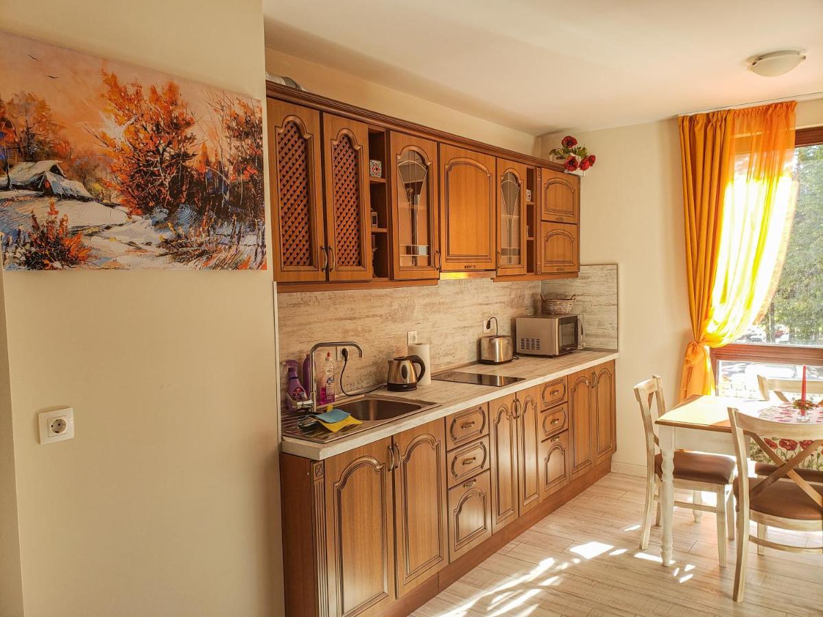 Lovely Borovets Apartment Εξωτερικό φωτογραφία