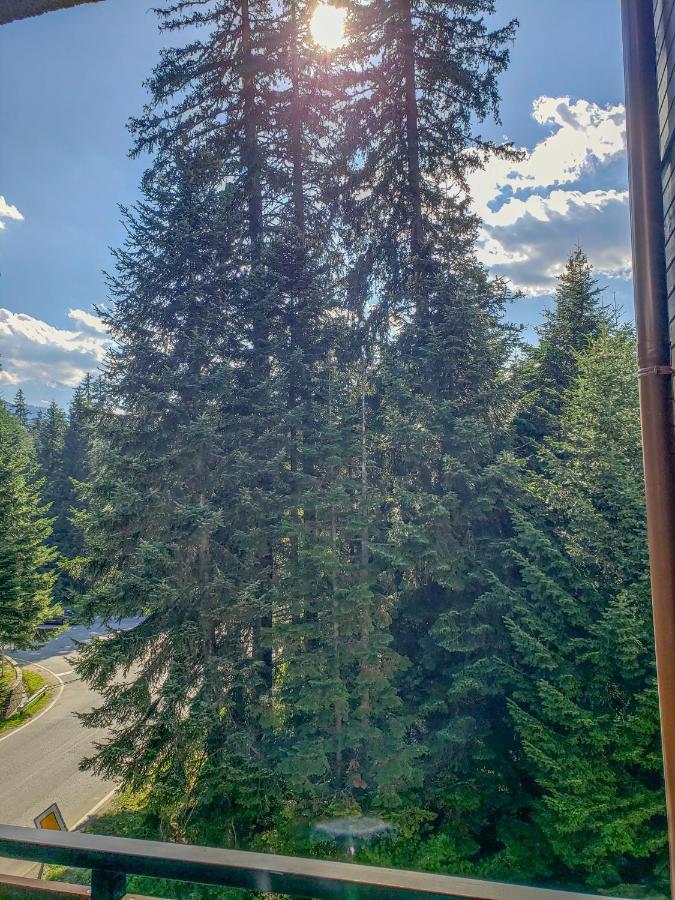 Lovely Borovets Apartment Εξωτερικό φωτογραφία