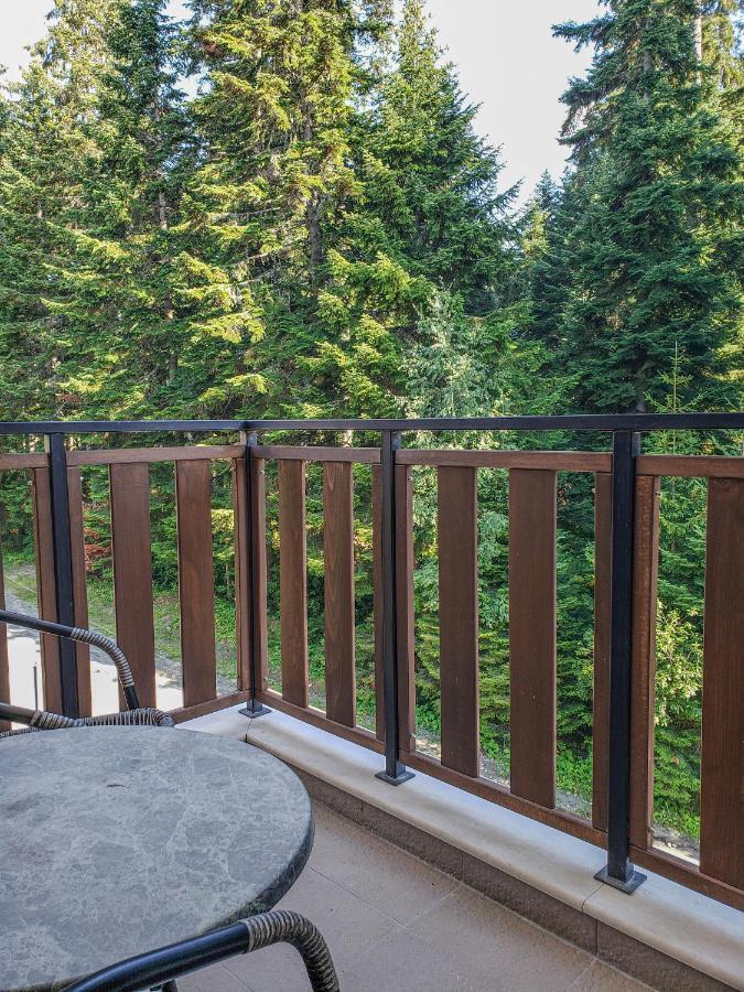 Lovely Borovets Apartment Εξωτερικό φωτογραφία