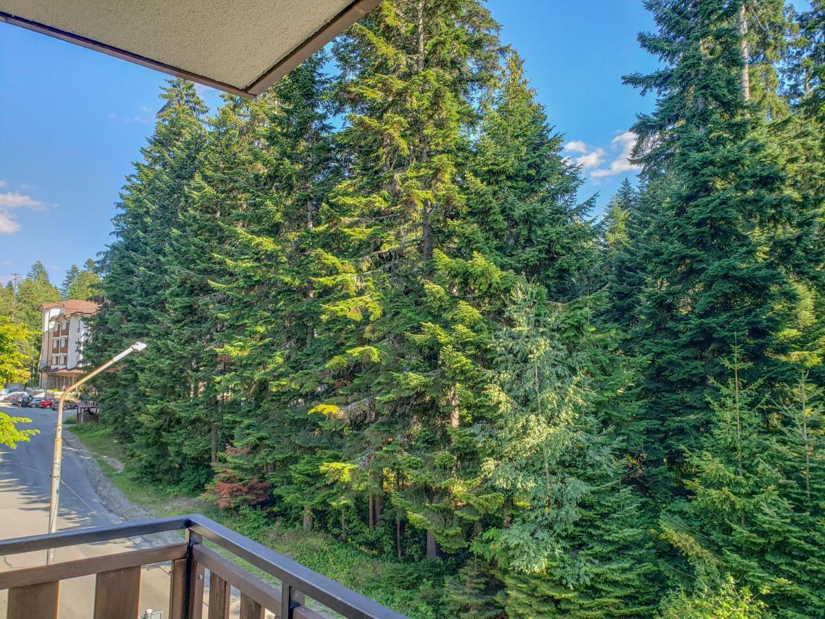 Lovely Borovets Apartment Εξωτερικό φωτογραφία