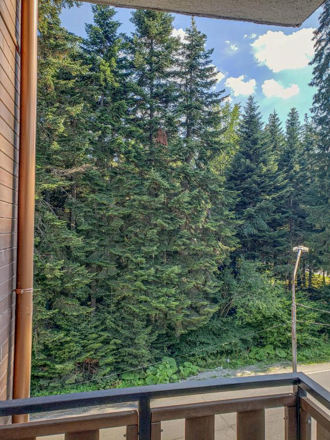 Lovely Borovets Apartment Εξωτερικό φωτογραφία