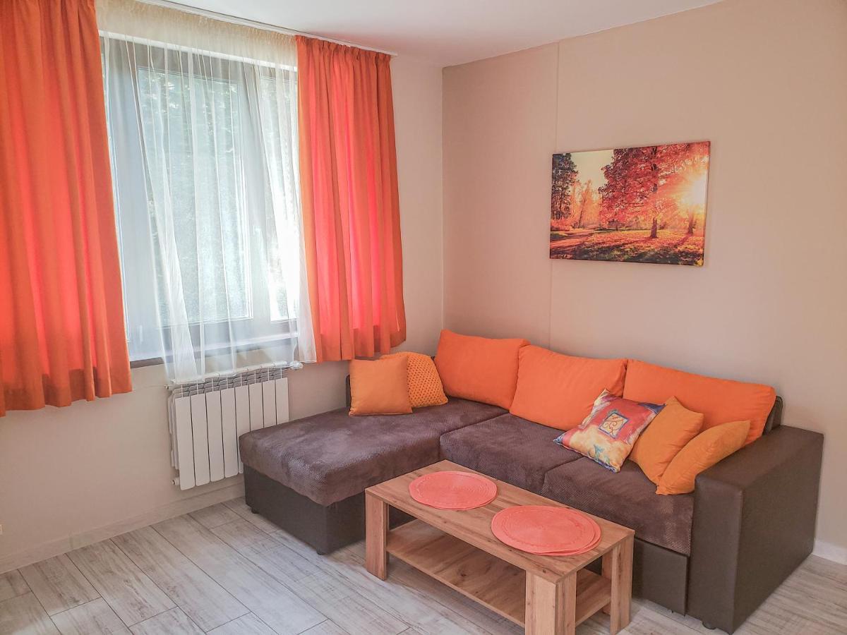 Lovely Borovets Apartment Εξωτερικό φωτογραφία