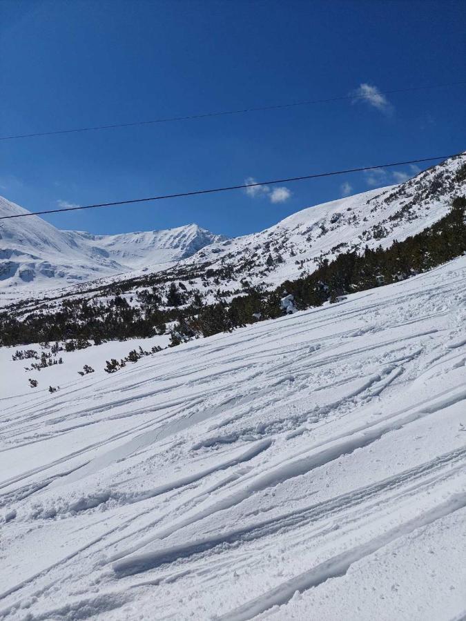 Lovely Borovets Apartment Εξωτερικό φωτογραφία